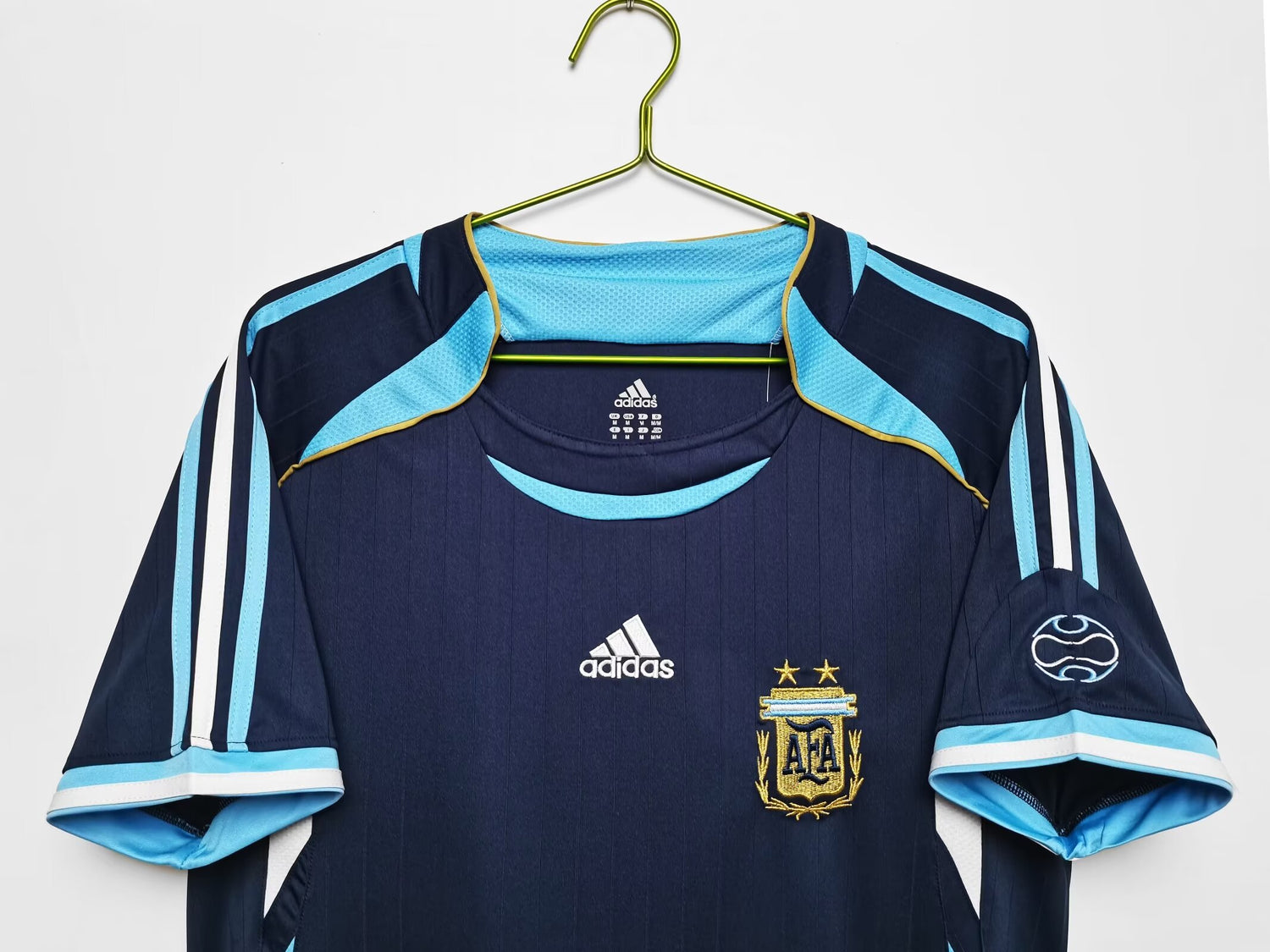 Argentina national team - Year 2006