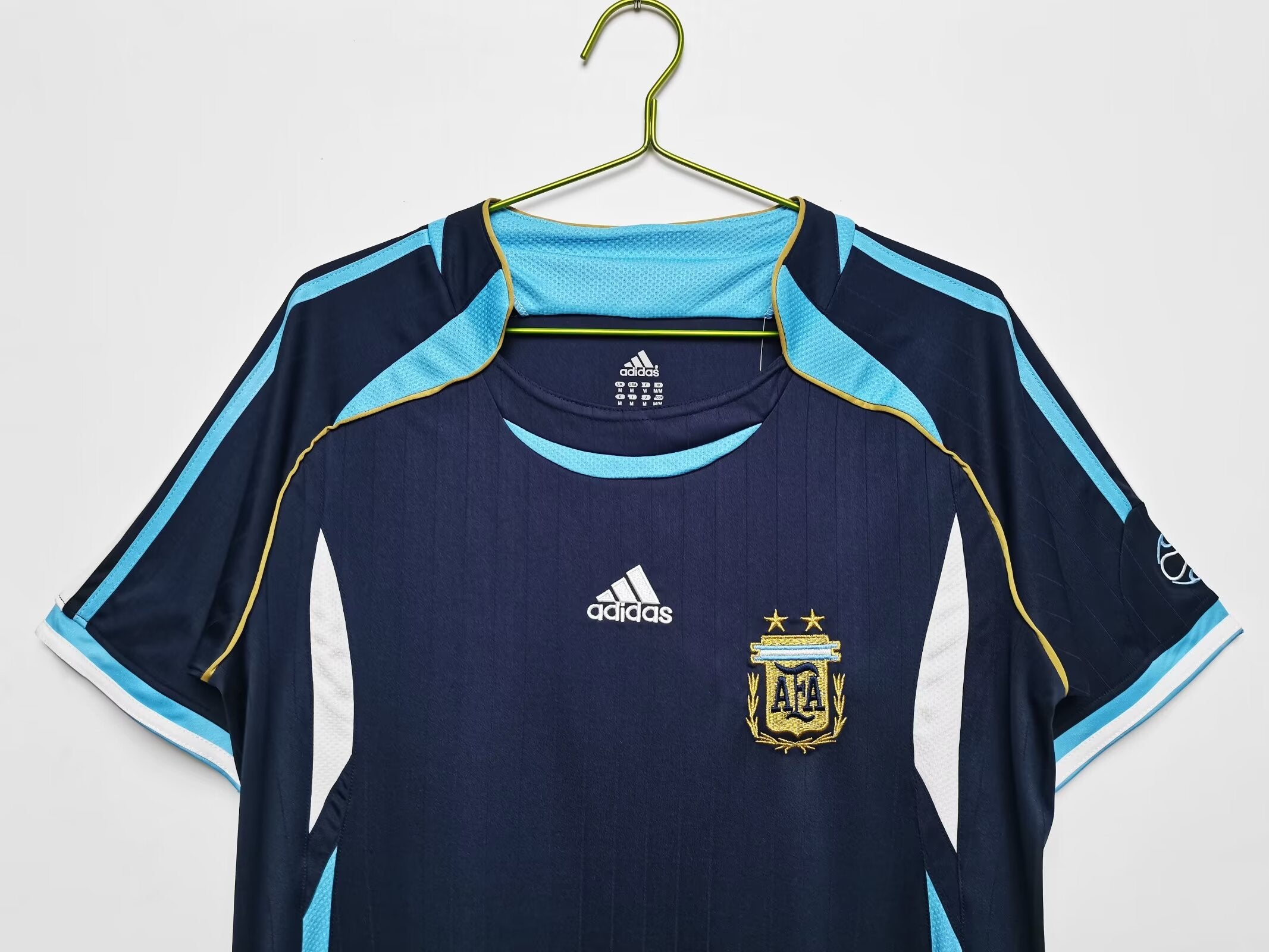 Argentina national team - Year 2006