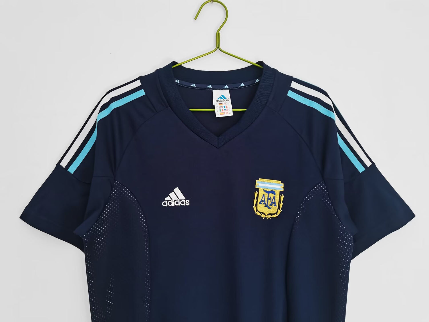 Argentina national team - Year 2002