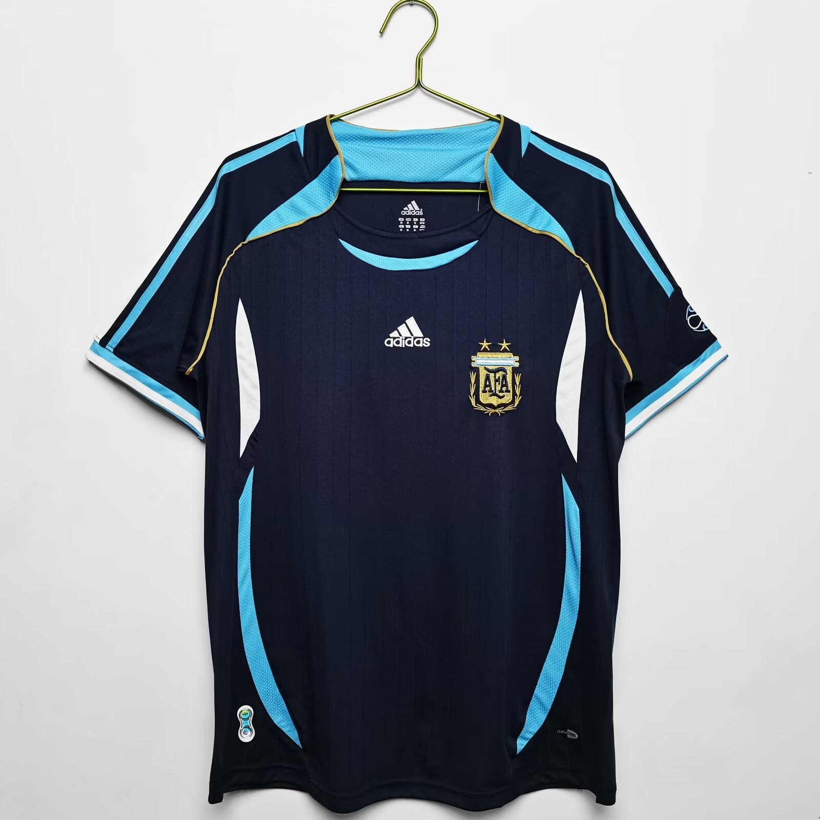 Argentina national team - Year 2006