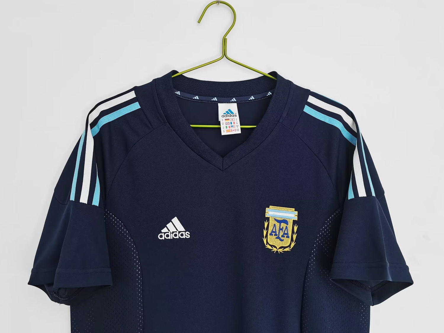 Argentina national team - Year 2002