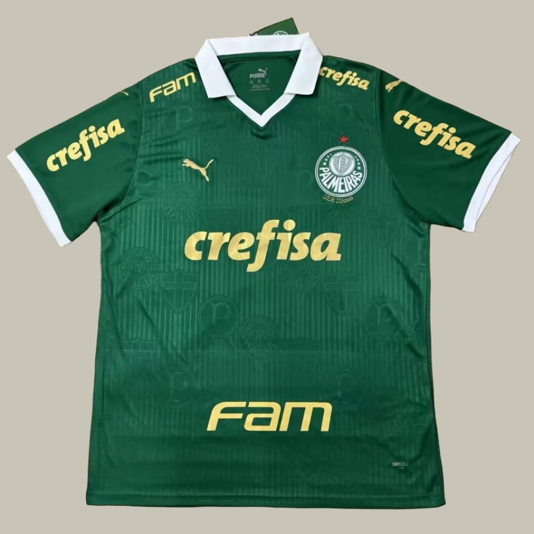 Palmeiras FC shirt Audience version 24/25